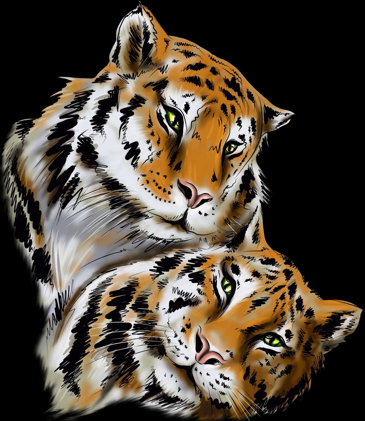 Zwei Tigerinnen, die sich aneinanderschmiegen