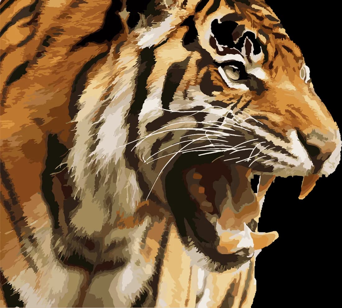 Eine brüllende Tigerin im Profil