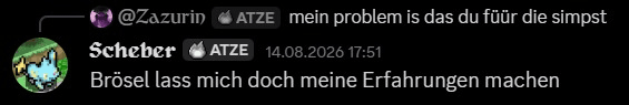 Discord-Nachricht von Scheber: „Brösel lass mich doch meine Erfahrungen machen“